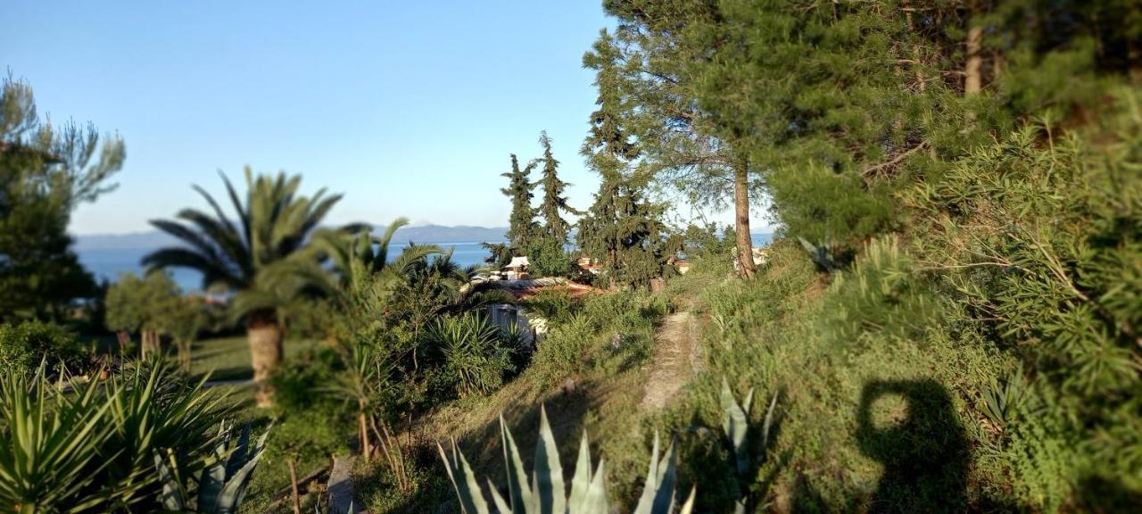 Seaside View Villa Hanioti Eksteriør bilde